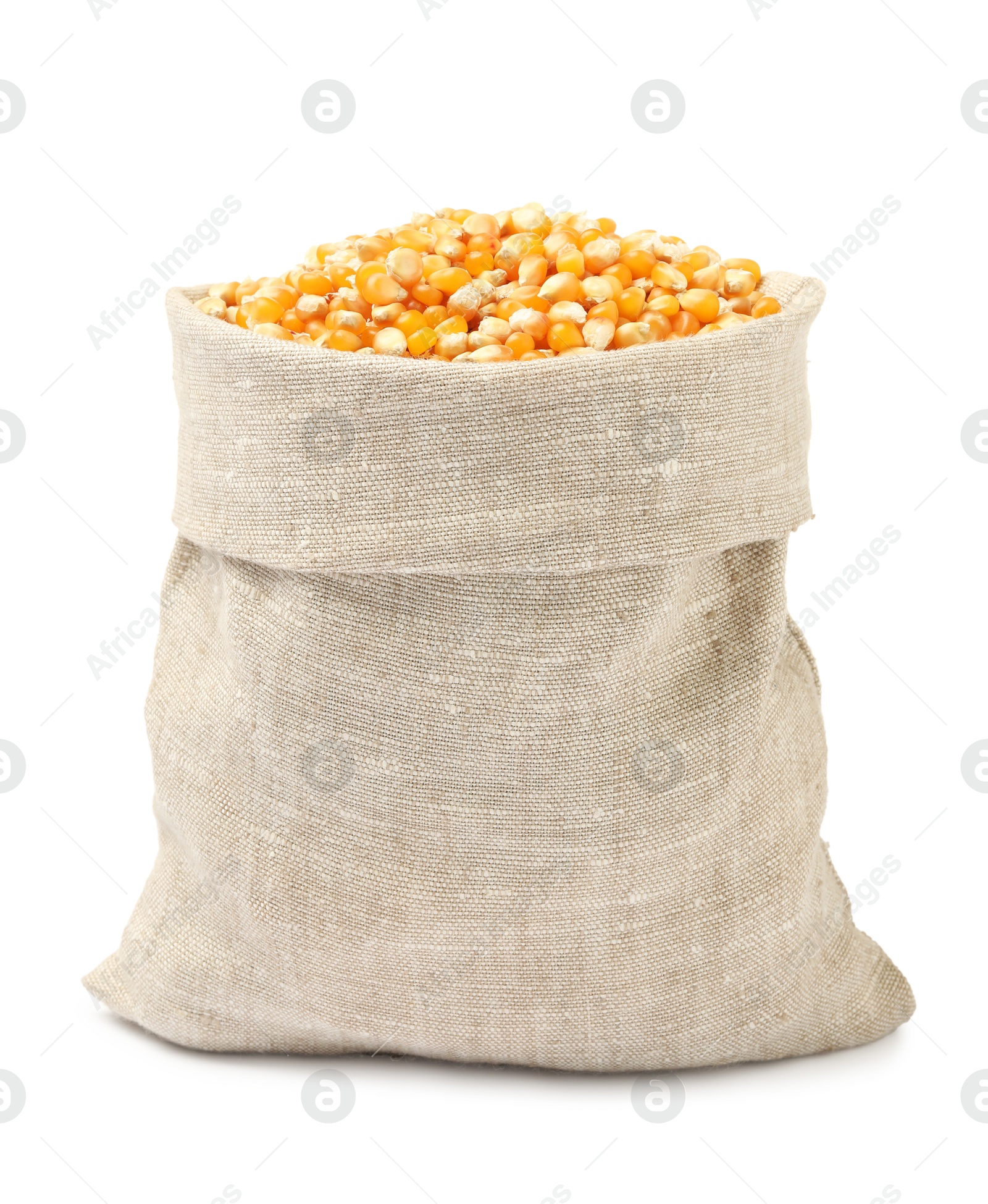 Photo of Fresh corn kernels in burlap isolated on white