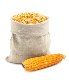 Photo of Fresh corn kernels in burlap sack and corncob isolated on white