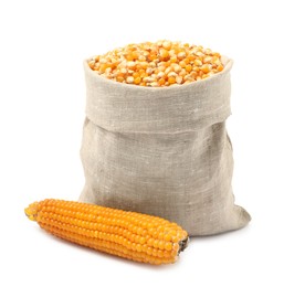 Photo of Fresh corn kernels in burlap sack and corncob isolated on white