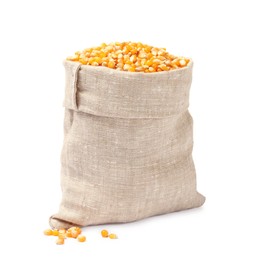 Fresh corn kernels in burlap sack isolated on white