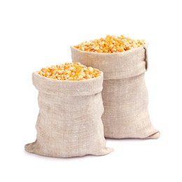 Photo of Fresh corn kernels in burlap sacks isolated on white