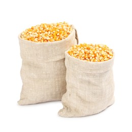 Photo of Fresh corn kernels in burlap sacks isolated on white