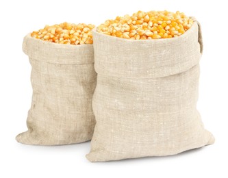 Photo of Fresh corn kernels in burlap sacks isolated on white