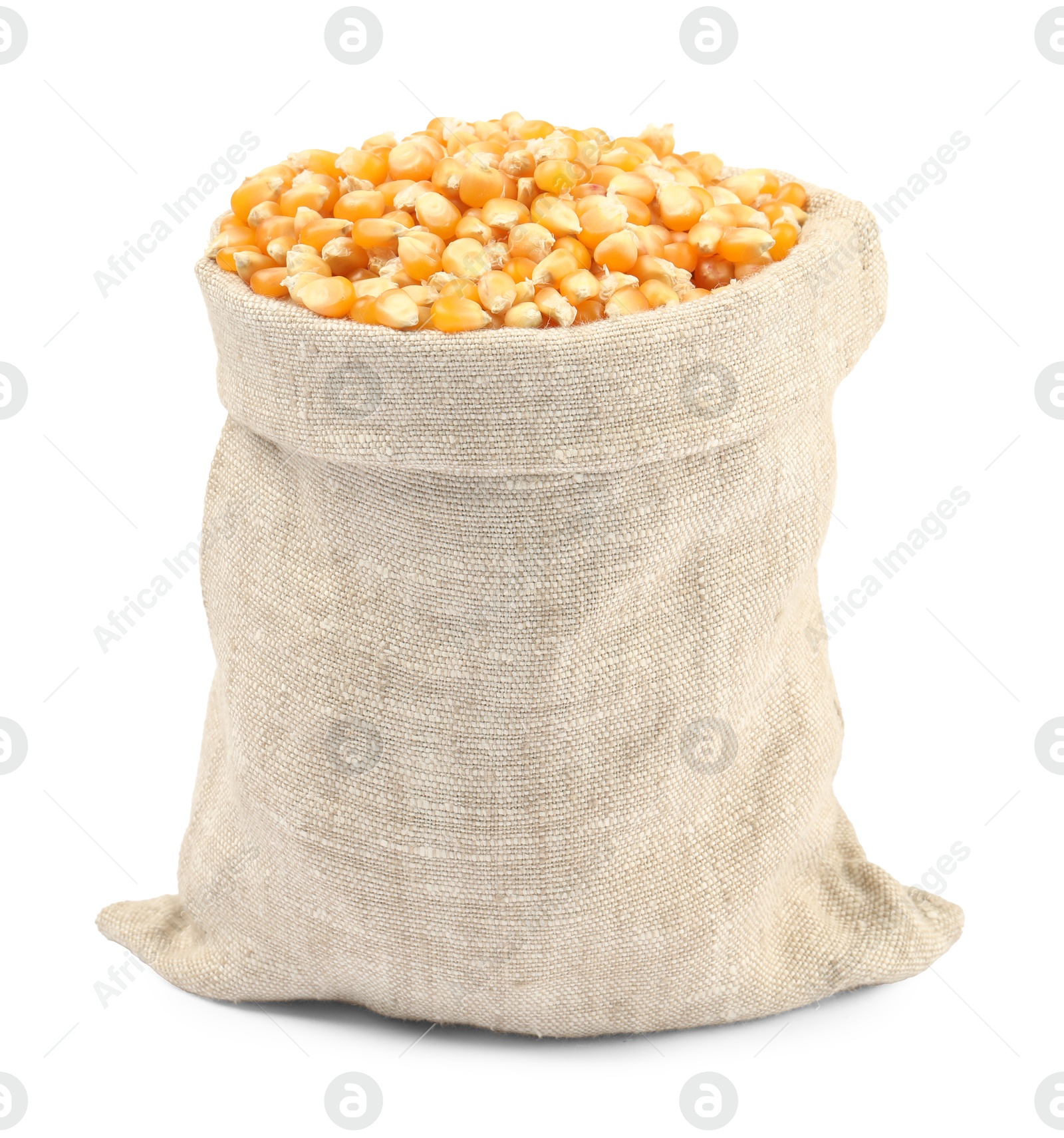 Photo of Fresh corn kernels in burlap sack isolated on white