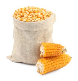 Photo of Fresh corn kernels in burlap sack and corncobs isolated on white