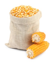 Photo of Fresh corn kernels in burlap sack and corncobs isolated on white