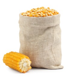 Photo of Fresh corn kernels in burlap sack and corncob isolated on white