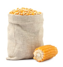 Photo of Fresh corn kernels in burlap sack and corncob isolated on white