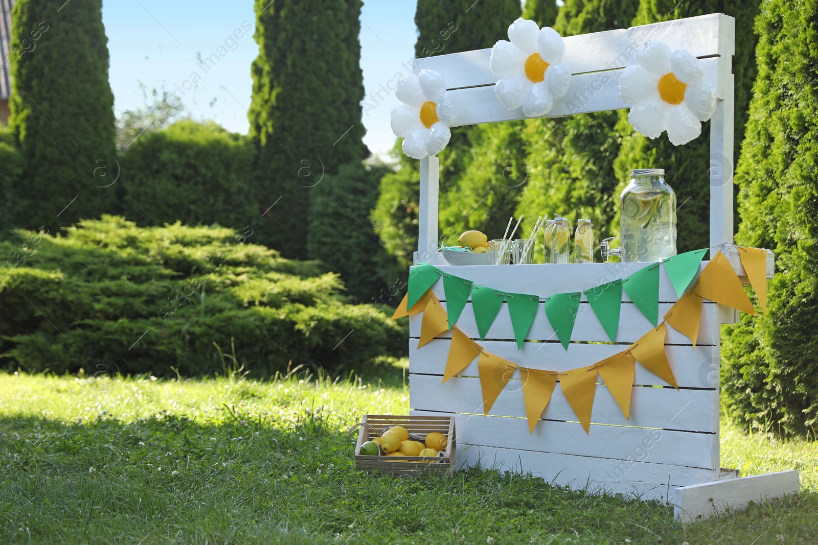 Photo of Lemonade stand with refreshing drink and fresh fruits in park, space for text