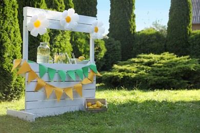 Photo of Lemonade stand with refreshing drink and fresh fruits in park, space for text