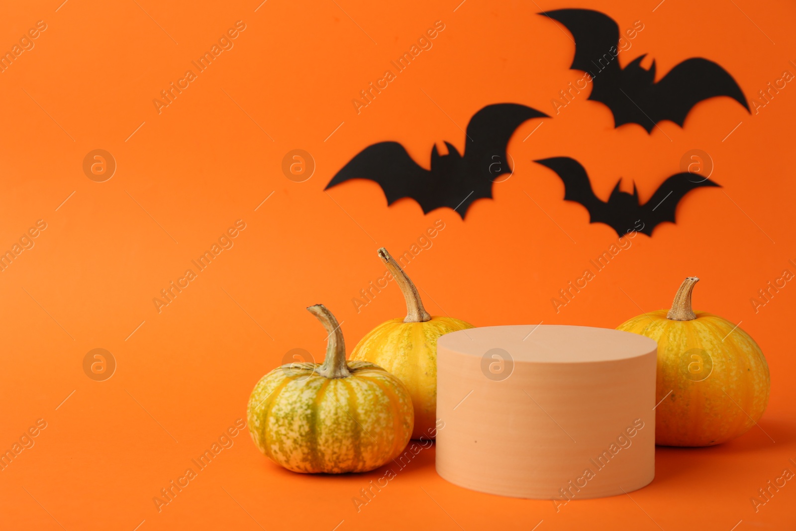 Photo of Halloween celebration. Black paper bats, pumpkins and podium on orange background, space for text