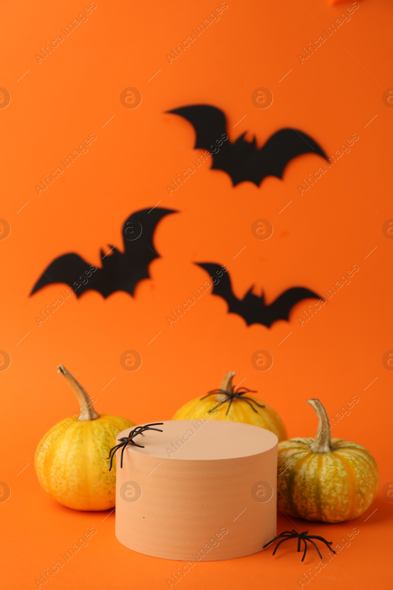 Photo of Halloween celebration. Black paper bats, spiders pumpkins and podium on orange background