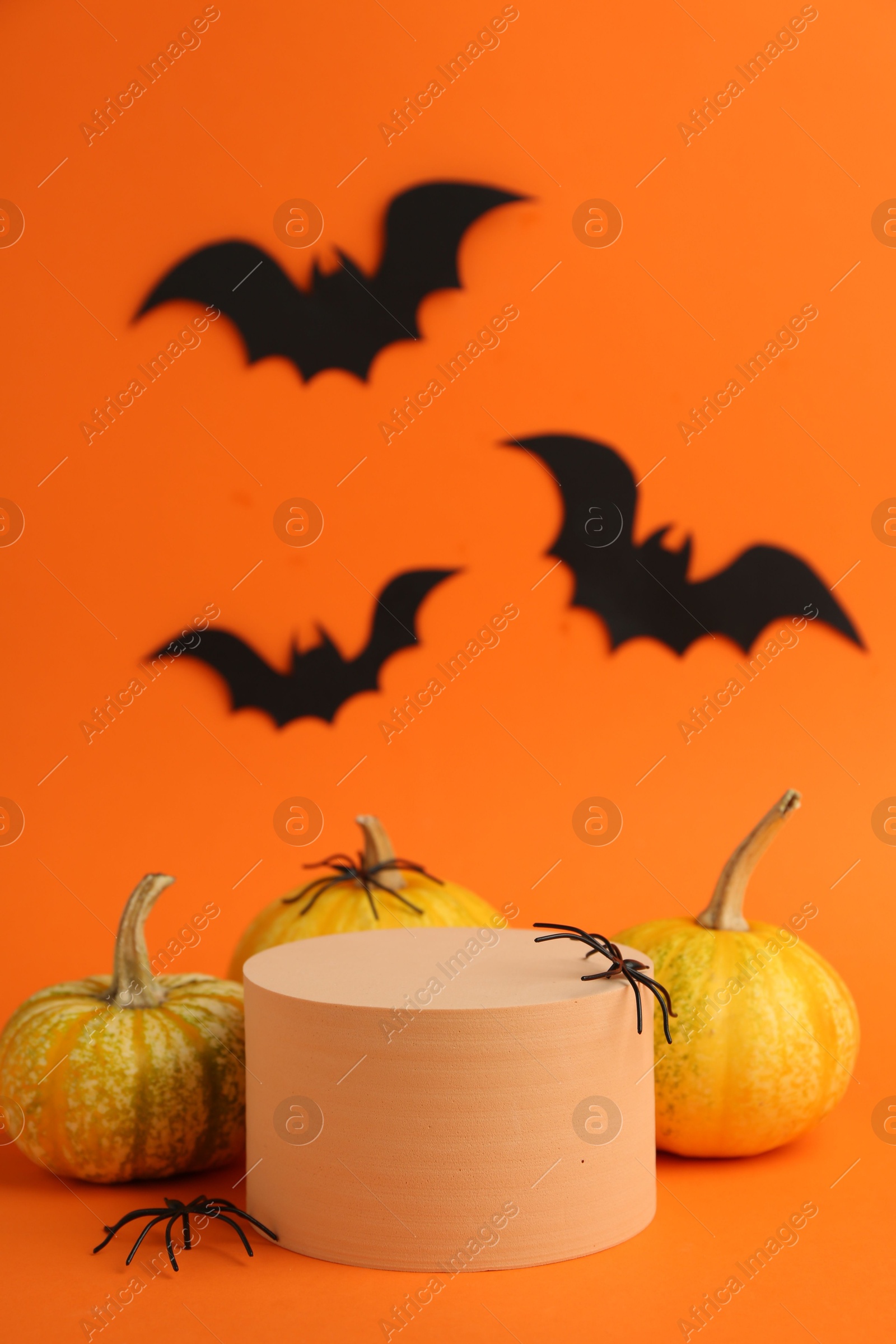 Photo of Halloween celebration. Black paper bats, spiders pumpkins and podium on orange background