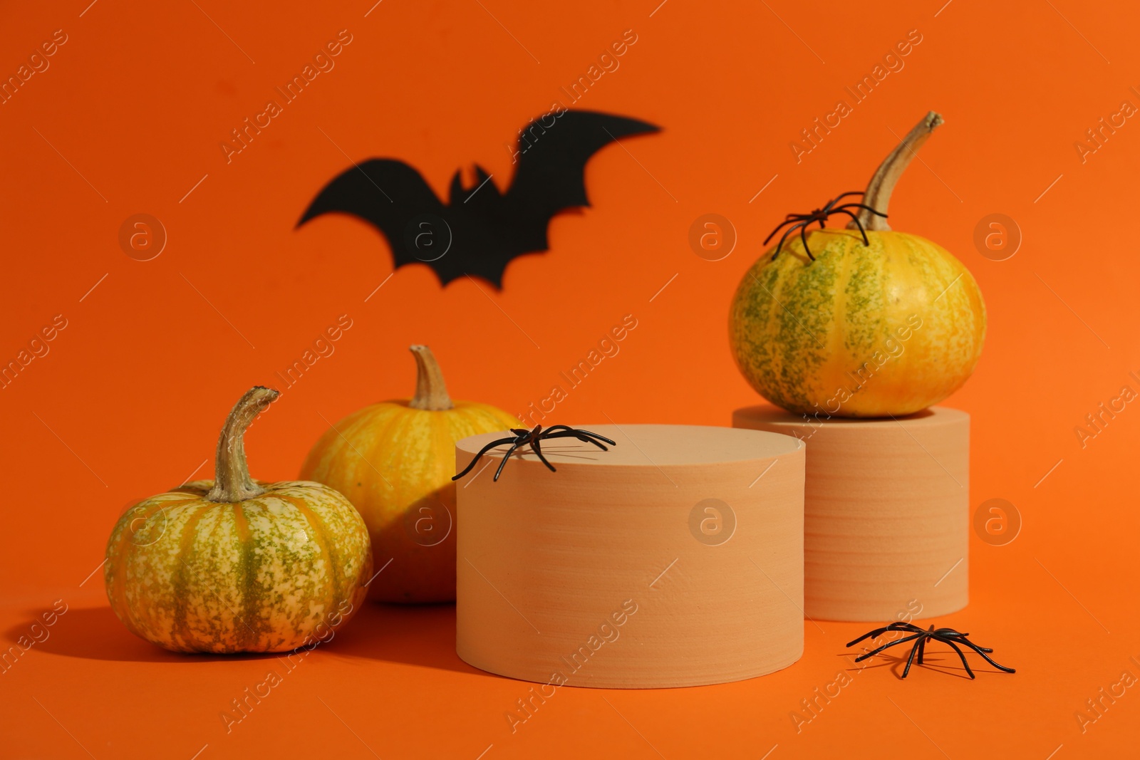 Photo of Halloween celebration. Pumpkins, black paper bat, spiders and podiums on orange background