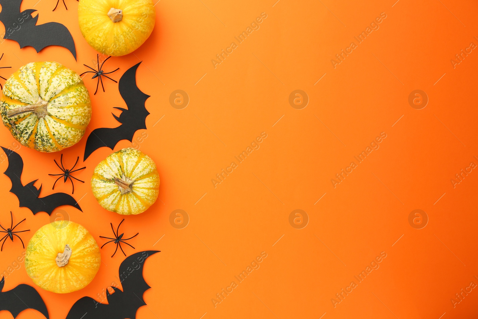 Photo of Halloween celebration. Black paper bats, spiders and pumpkins on orange background, flat lay. Space for text