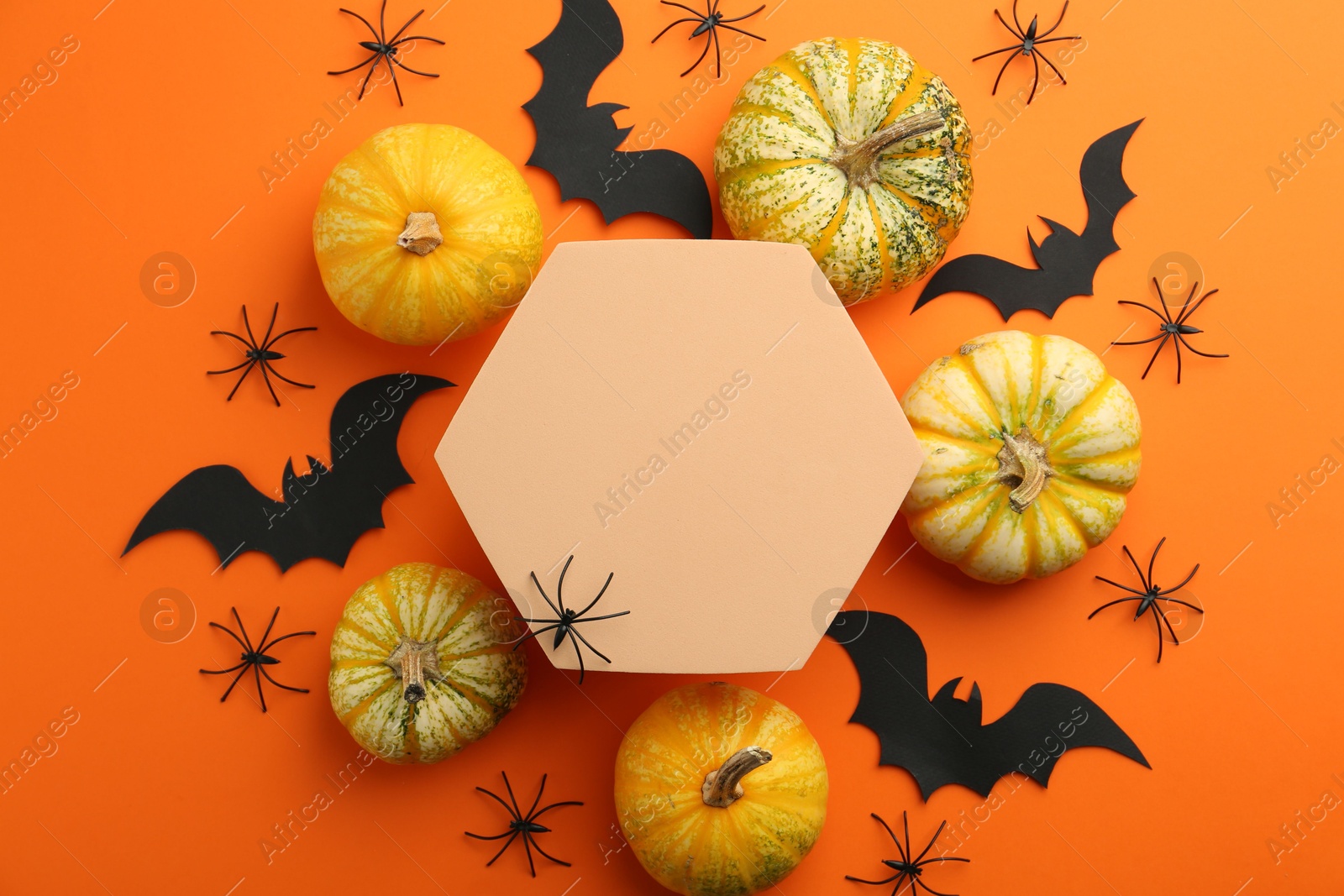 Photo of Halloween celebration. Black paper bats, spiders, pumpkins and podium on orange background, flat lay