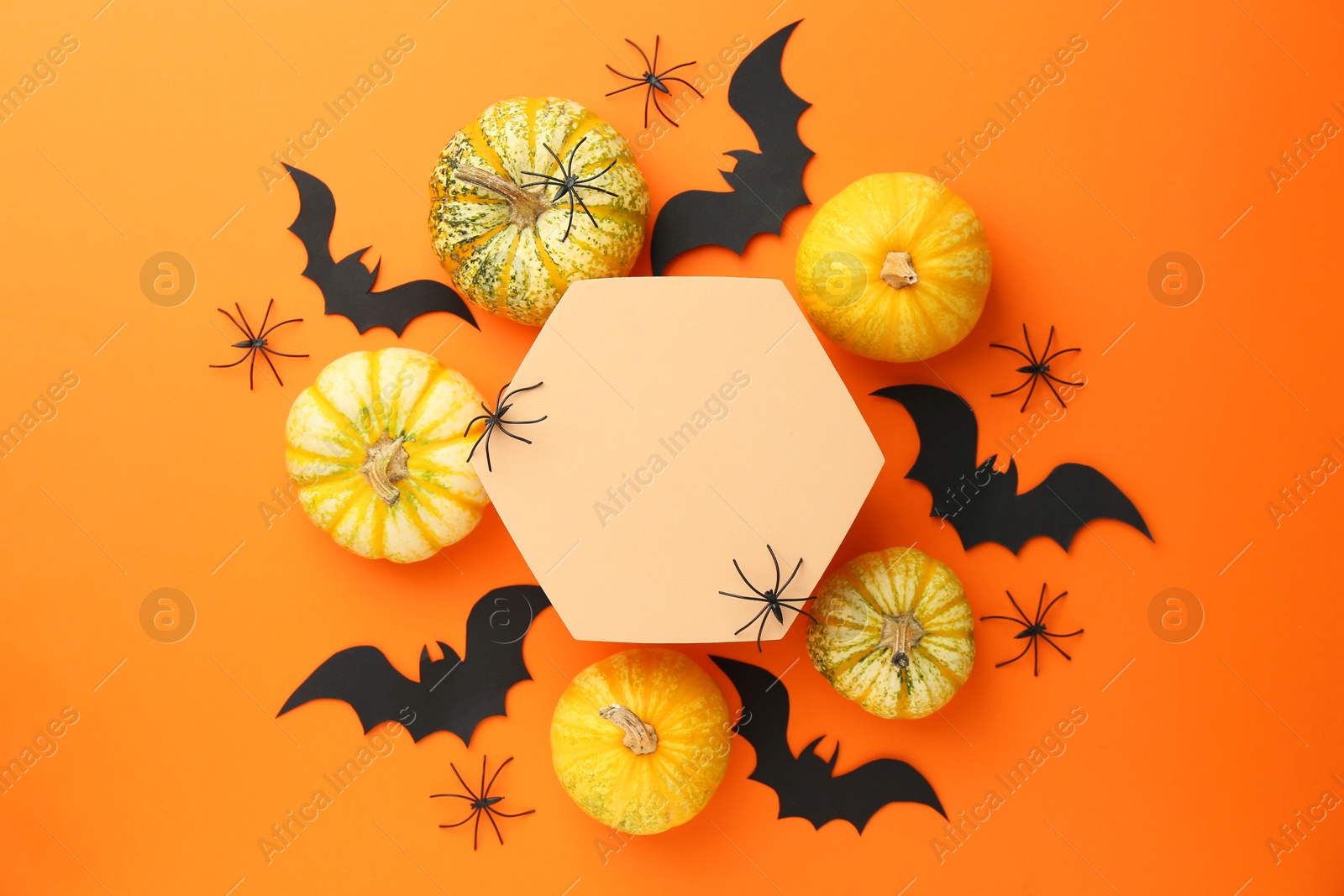 Photo of Halloween celebration. Black paper bats, spiders, pumpkins and podium on orange background, flat lay