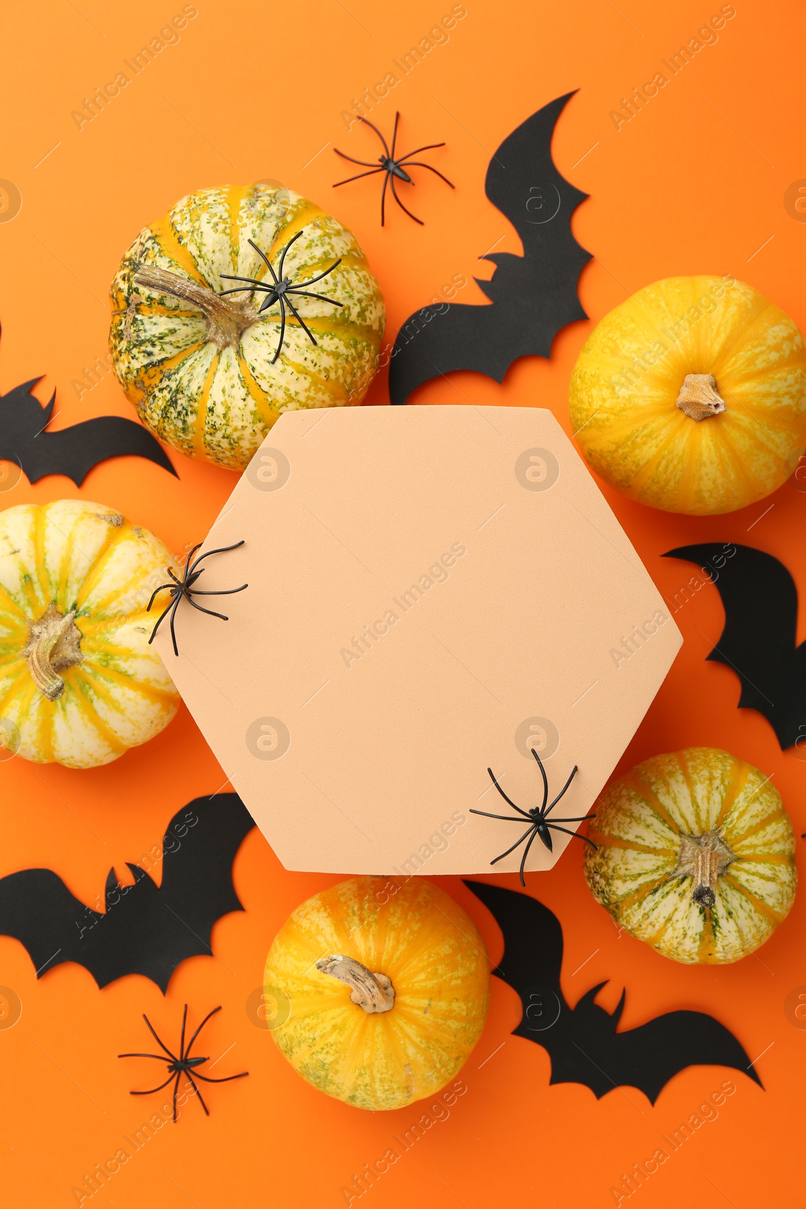 Photo of Halloween celebration. Black paper bats, spiders, pumpkins and podium on orange background, flat lay