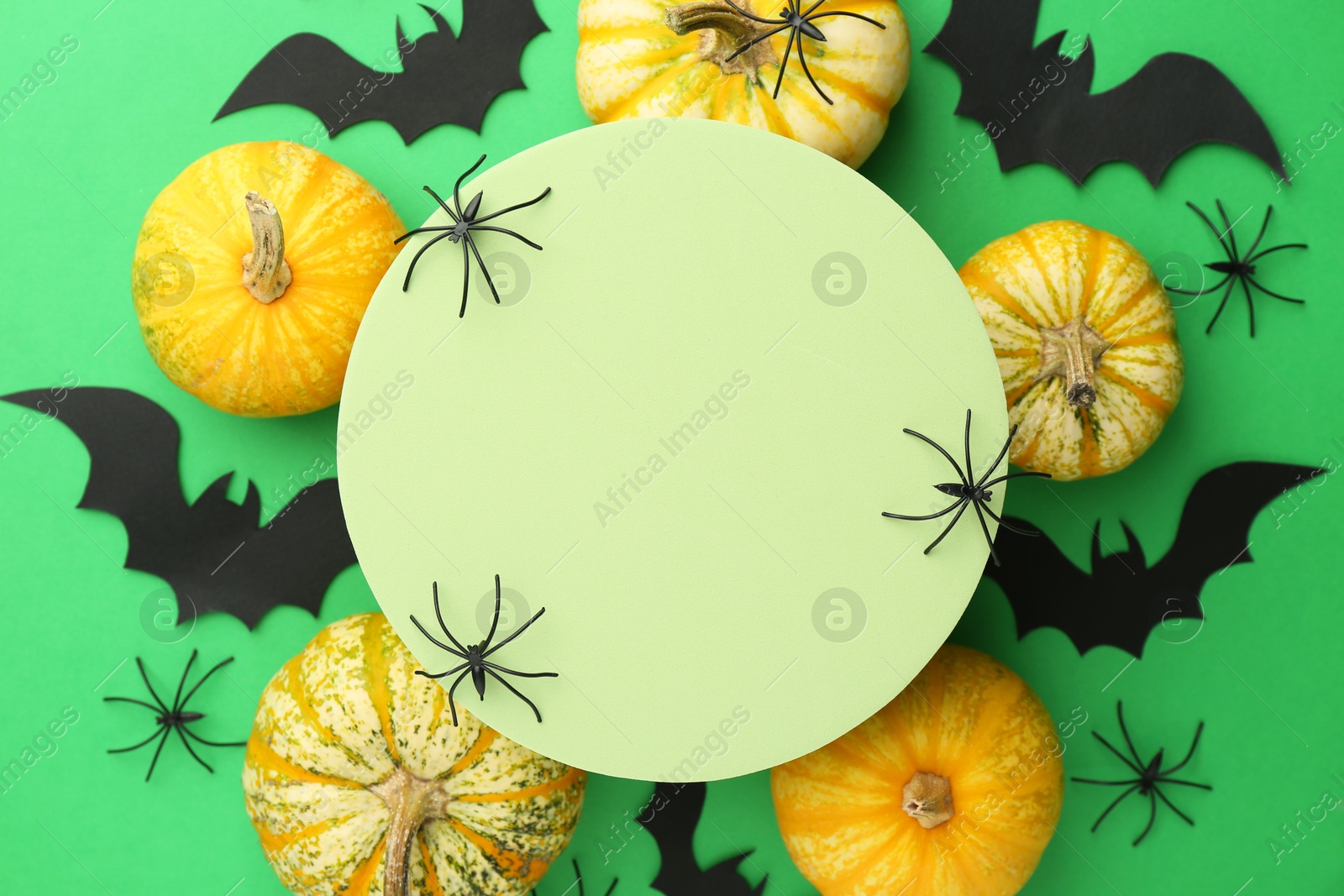 Photo of Halloween celebration. Black paper bats, spiders, pumpkins and podium on green background, flat lay