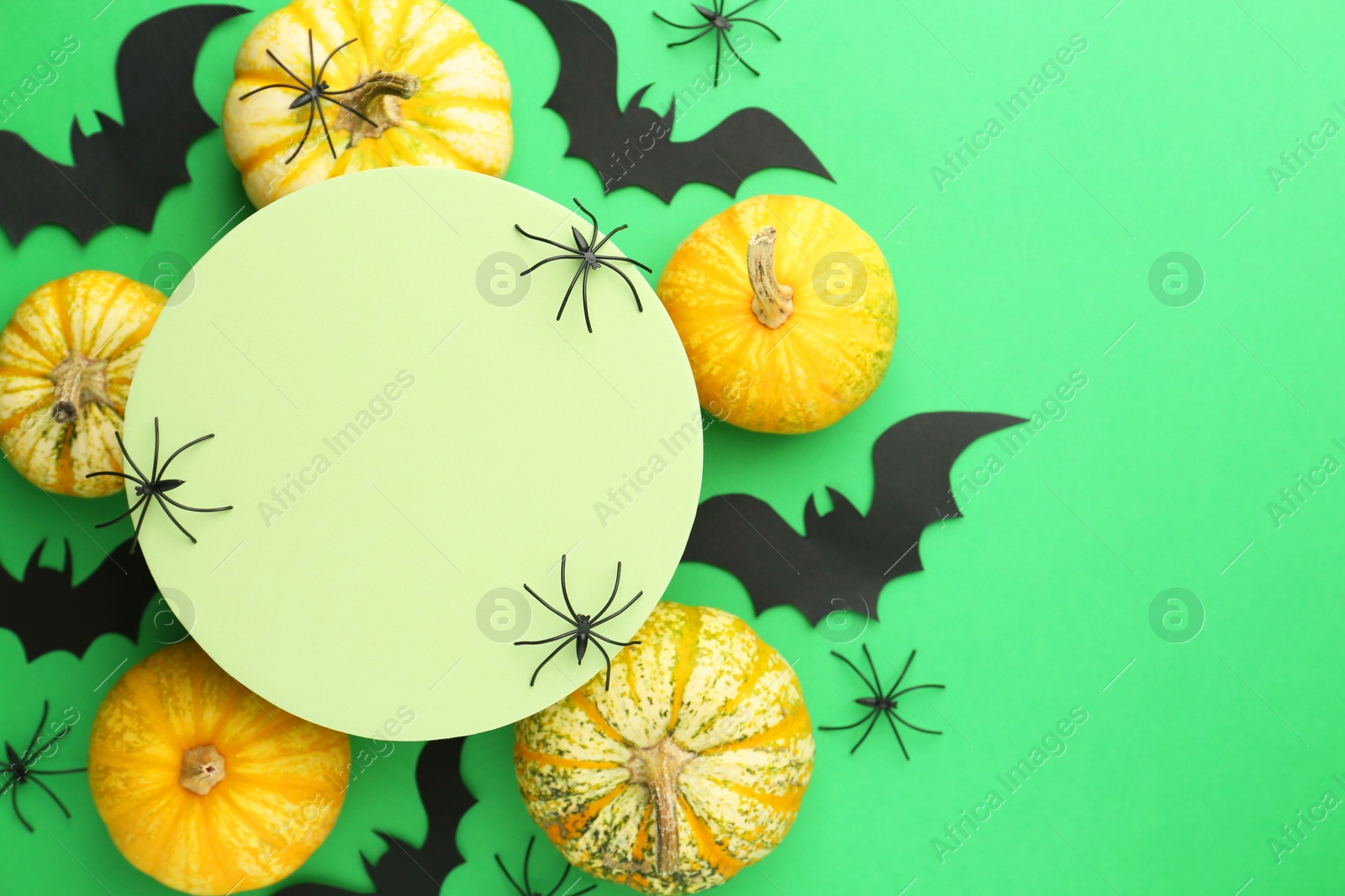 Photo of Halloween celebration. Black paper bats, spiders, pumpkins and podium on green background, flat lay