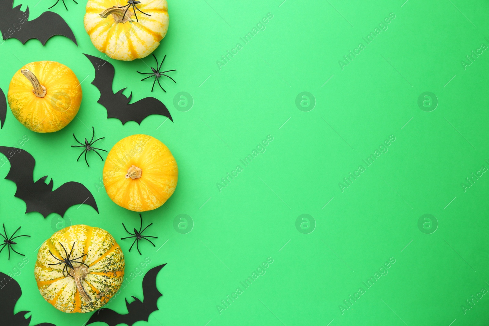 Photo of Halloween celebration. Black paper bats, spiders and pumpkins on green background, flat lay. Space for text