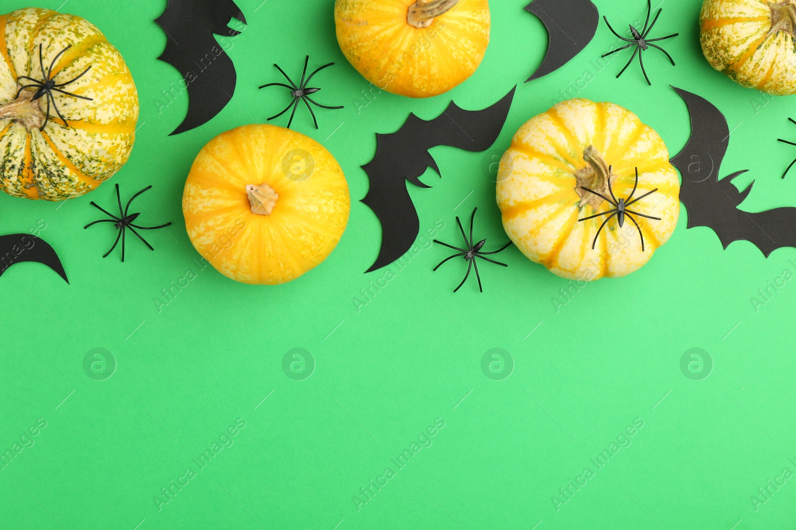 Photo of Halloween celebration. Black paper bats, spiders and pumpkins on green background, flat lay. Space for text