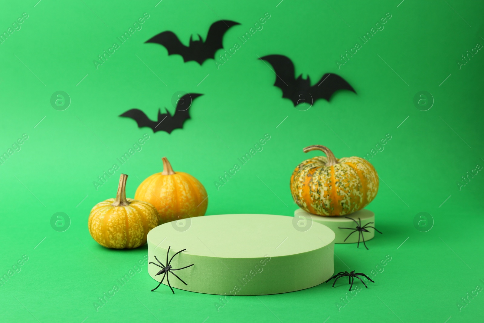 Photo of Halloween celebration. Black paper bats, spiders, pumpkins and podiums on green background