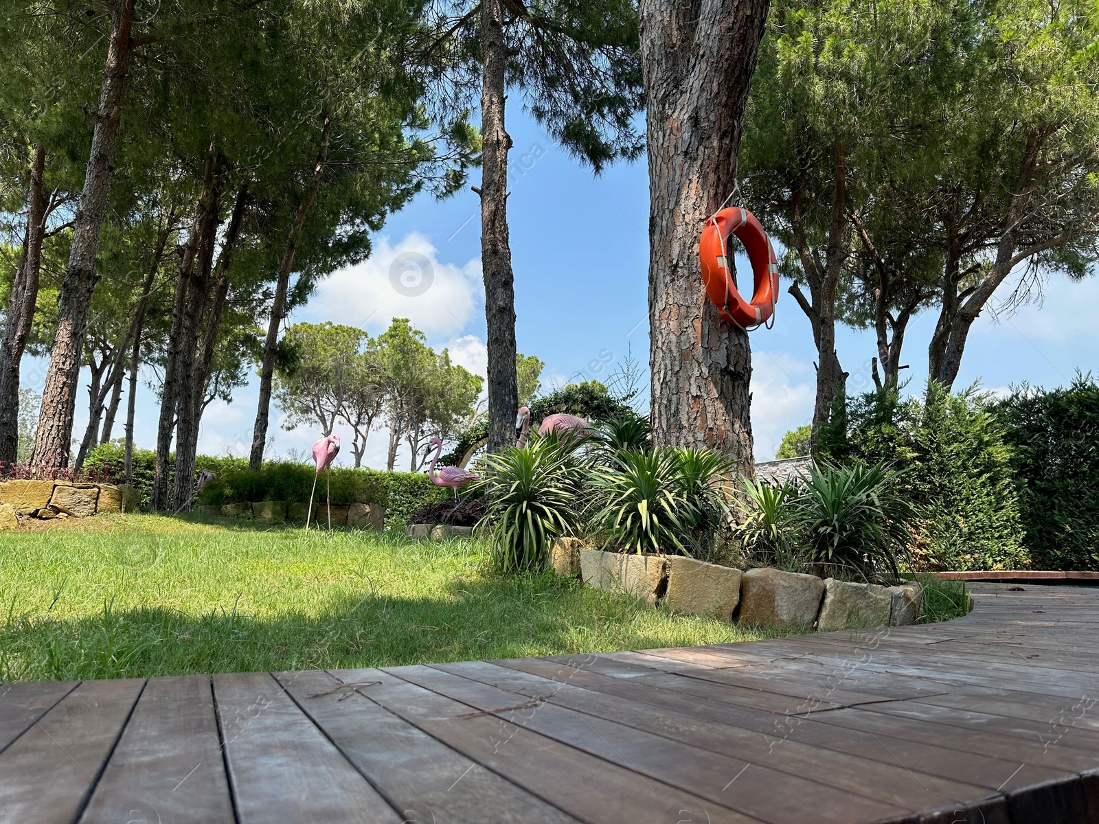 Photo of Orange lifebuoy hanging on tree and decorative flamingos outdoors