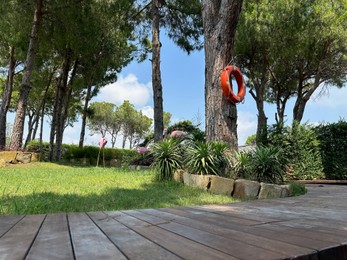 Orange lifebuoy hanging on tree and decorative flamingos outdoors