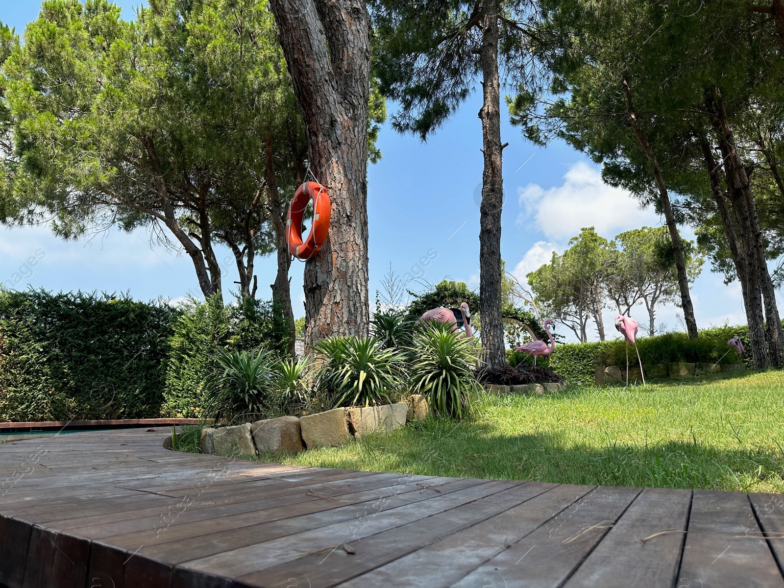 Photo of Orange lifebuoy hanging on tree and decorative flamingos outdoors