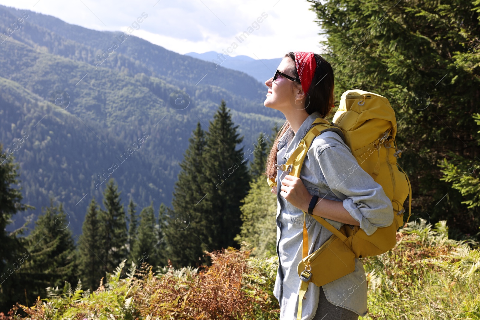 Photo of Young hiker with backpack in mountains on sunny day