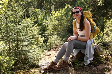 Photo of Young hiker sitting on tree stump in forest