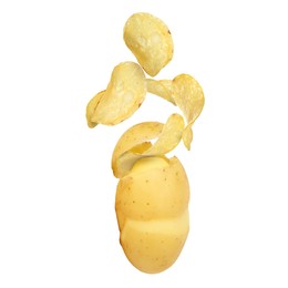 Image of Raw potato turning into tasty crispy chips in air on white background