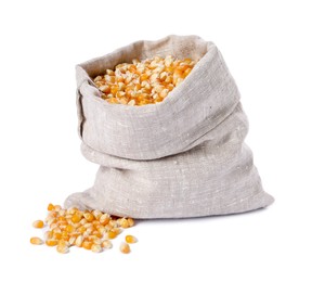 Fresh corn kernels in burlap sack isolated on white