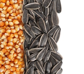 Photo of Sunflower seeds and corn kernels isolated on white, top view