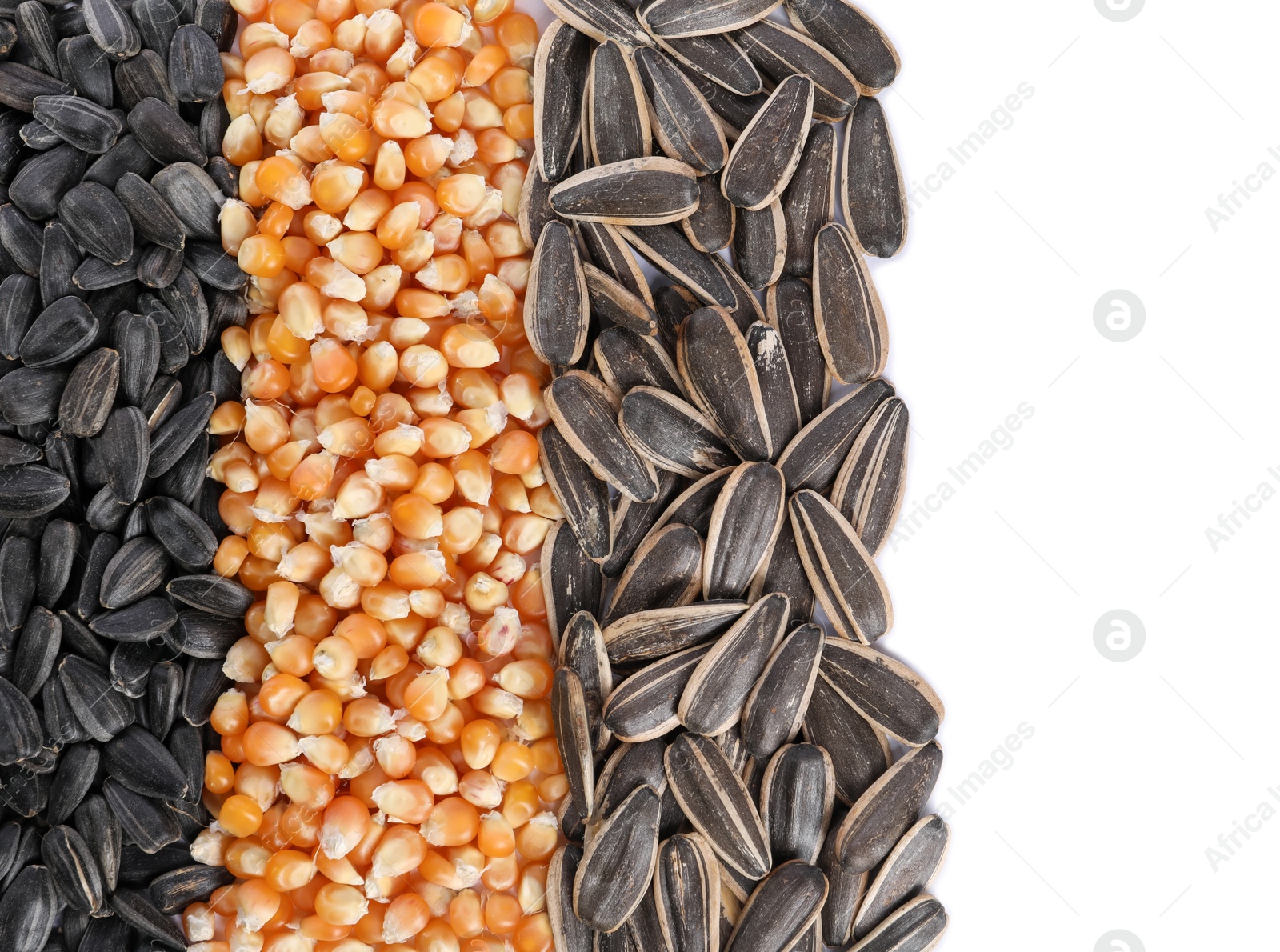 Photo of Sunflower seeds and corn kernels isolated on white, top view