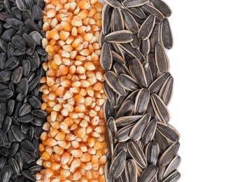 Photo of Sunflower seeds and corn kernels isolated on white, top view