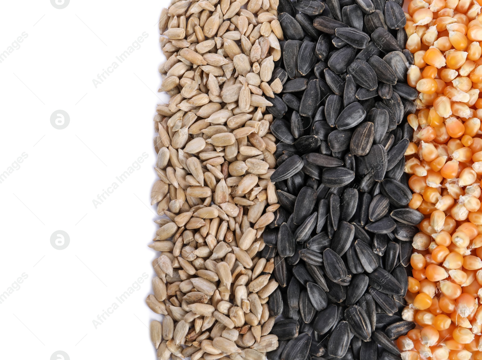 Photo of Different sunflower seeds and corn kernels isolated on white, top view