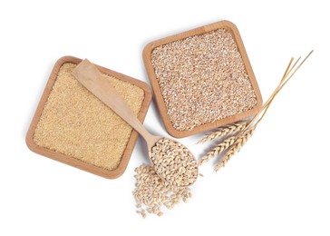 Photo of Different types of cereals and spikelets isolated on white, top view