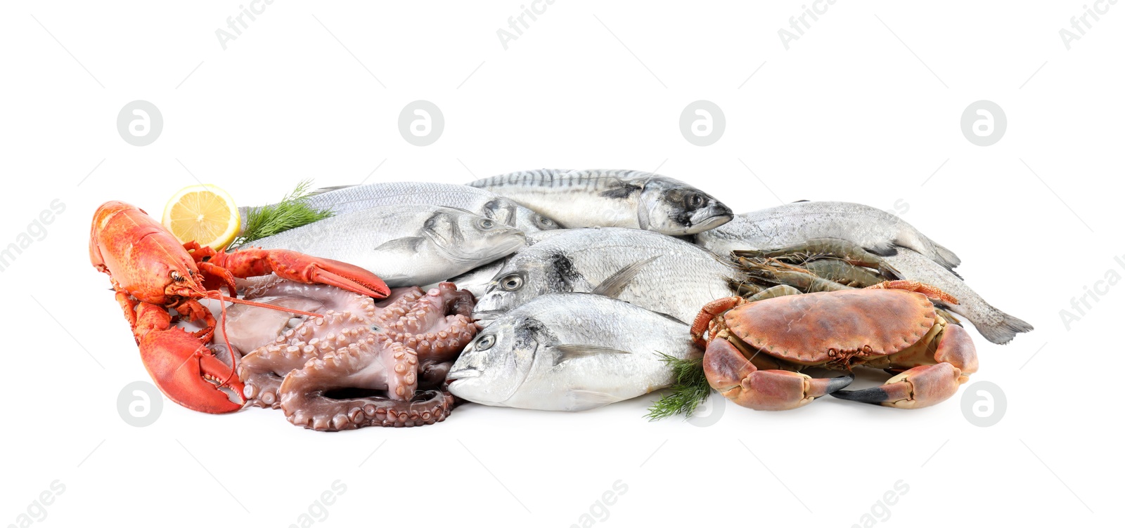 Photo of Fresh fish and different sea food isolated on white