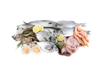 Photo of Fresh fish and different sea food isolated on white, top view