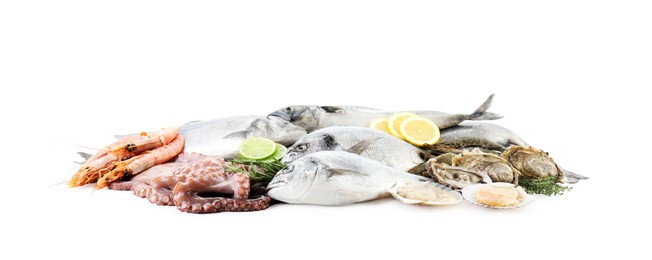 Fresh fish and different sea food isolated on white