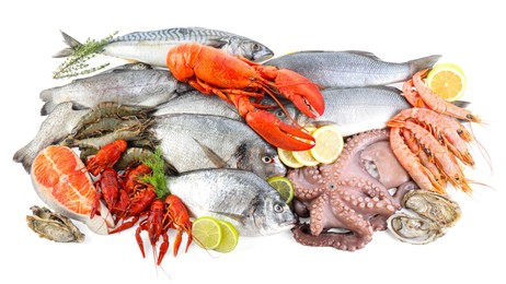 Photo of Fresh fish and different sea food isolated on white, top view