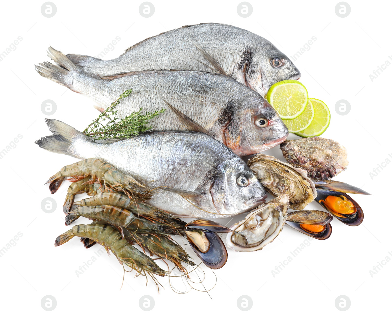 Photo of Fresh fish and different sea food isolated on white, top view