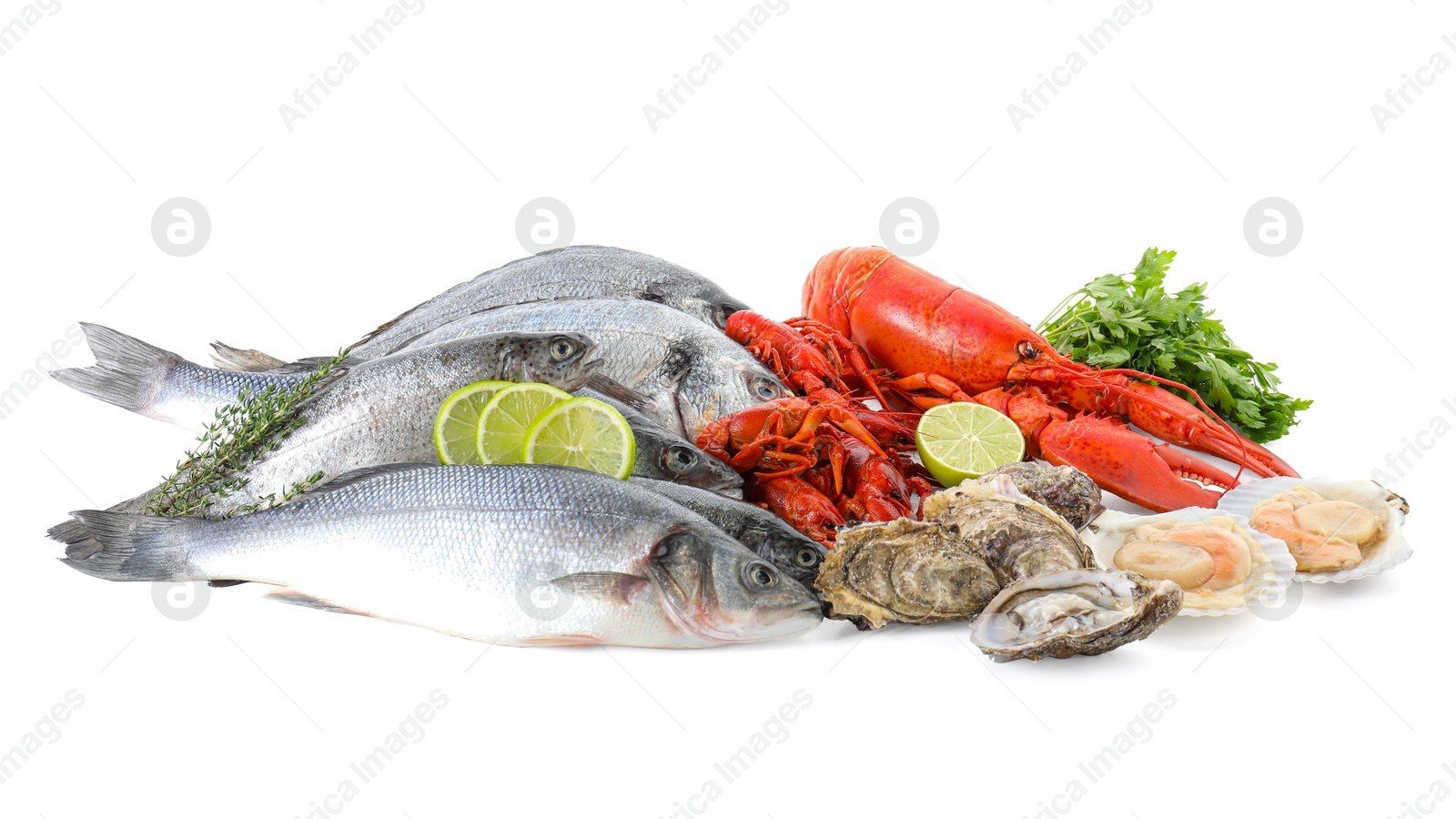 Photo of Fresh fish and different sea food isolated on white