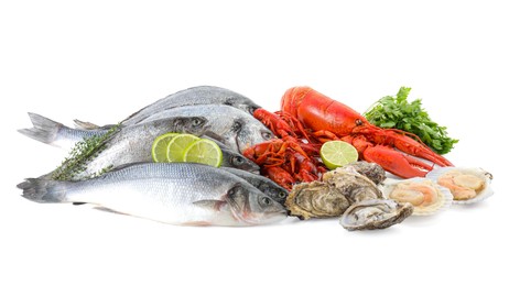 Fresh fish and different sea food isolated on white