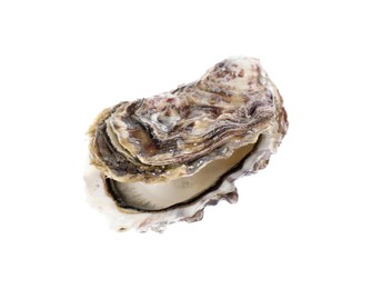 One raw oyster isolated on white. Sea food