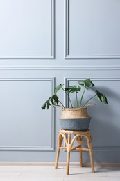 Photo of Stylish stool and houseplant near light grey wall indoors, space for text