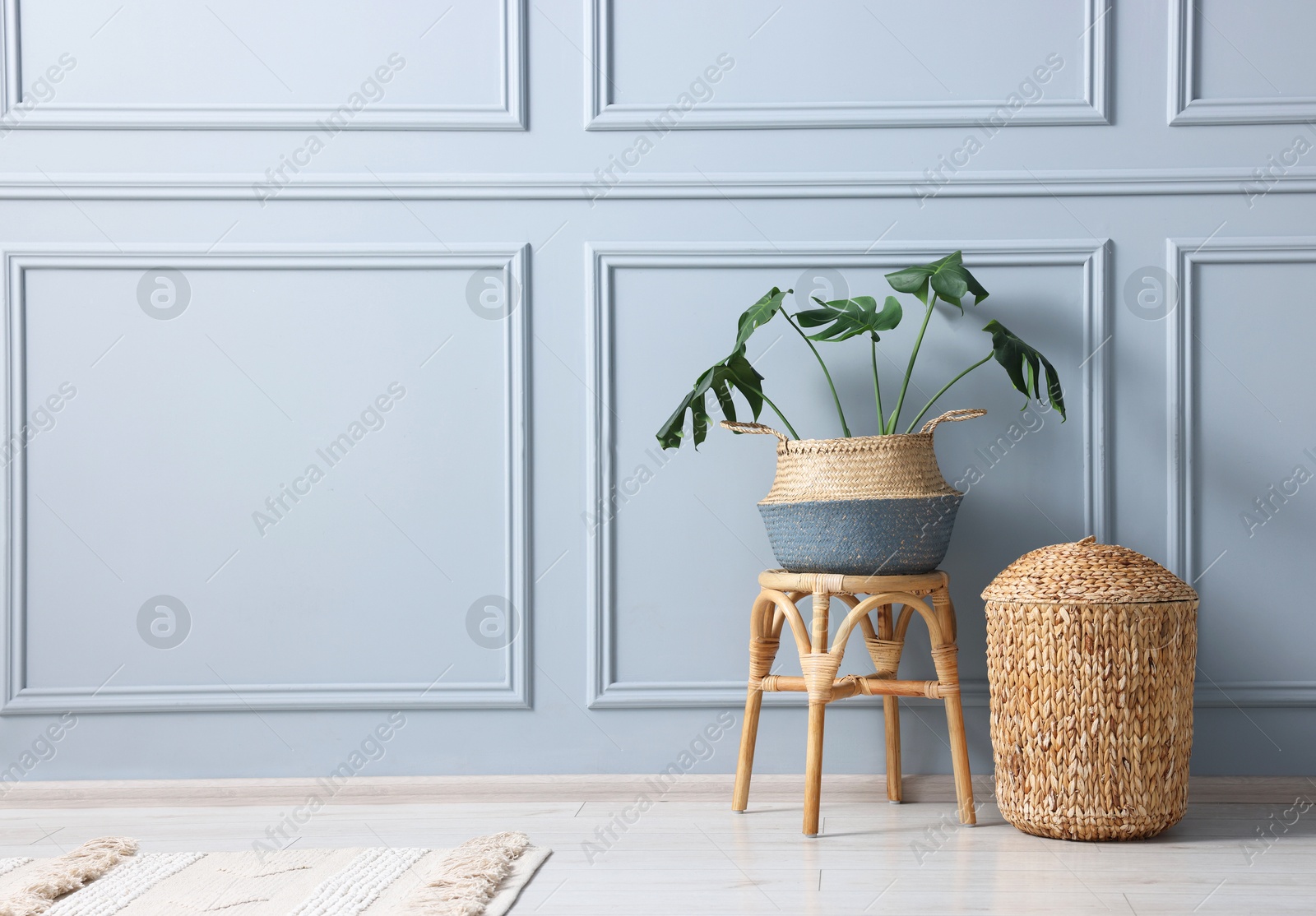 Photo of Stylish stool and houseplant near light grey wall indoors, space for text