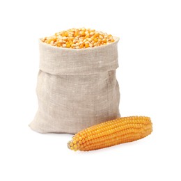 Photo of Fresh corn kernels in burlap sack and corncob isolated on white